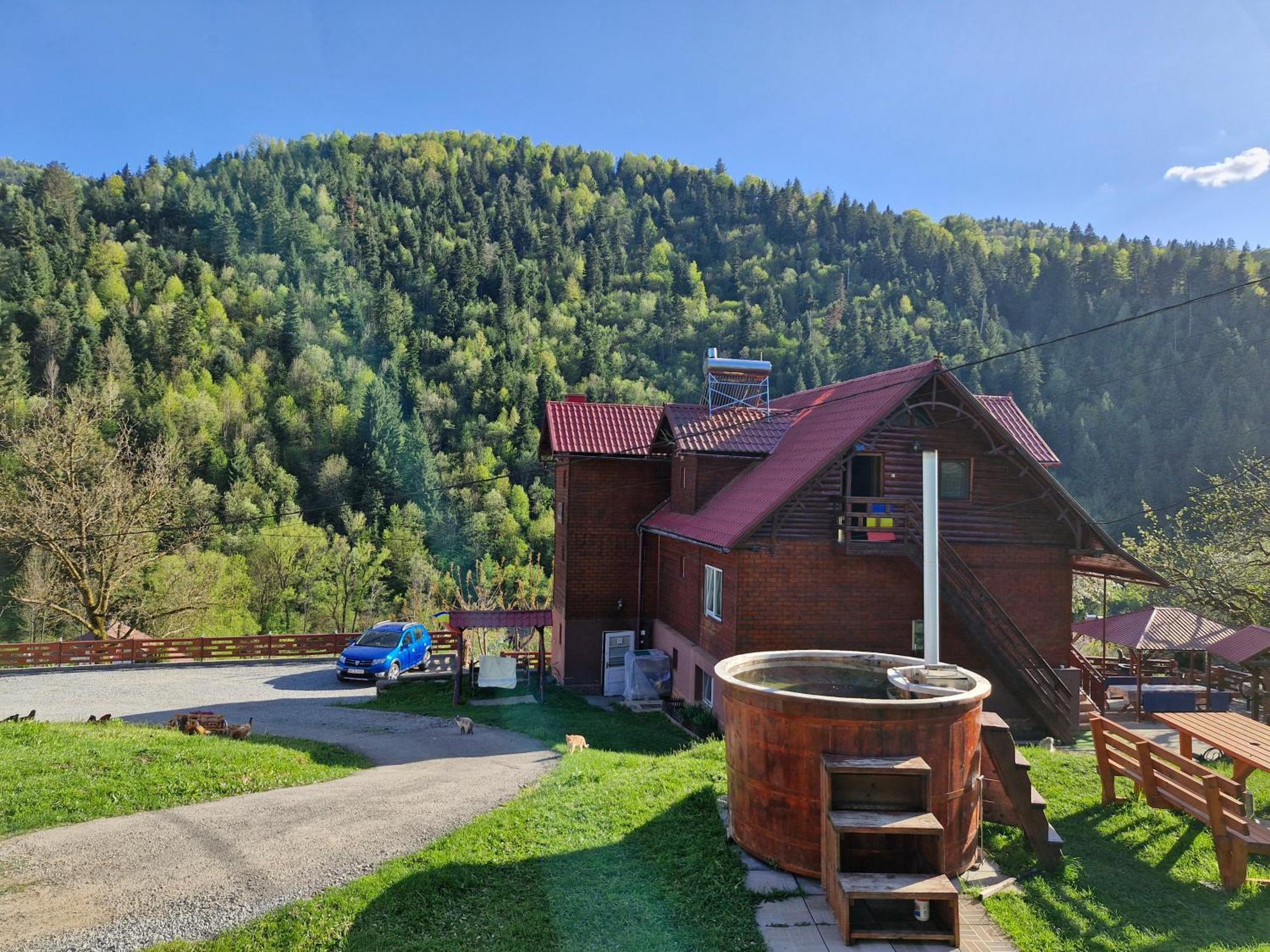 Pensiunea Viselor Lodge *